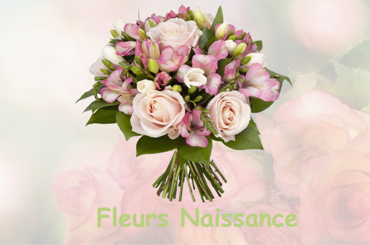 fleurs naissance FONTENAY-LE-PESNEL